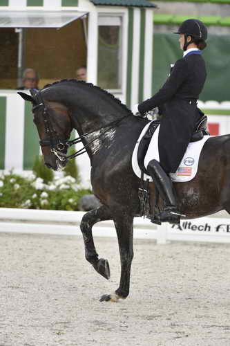 WEG-Dressage-8-25-14-GPTeam-0006077-AdrienneLyle-Wizard-USA-DDeRosaPhoto