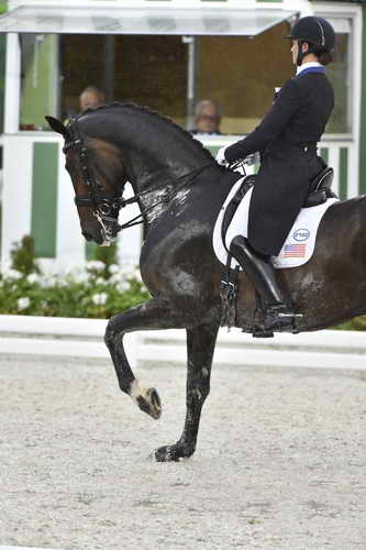 WEG-Dressage-8-25-14-GPTeam-0006078-AdrienneLyle-Wizard-USA-DDeRosaPhoto