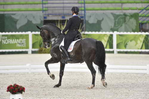 WEG-Dressage-8-25-14-GPTeam-0006087-AdrienneLyle-Wizard-USA-DDeRosaPhoto