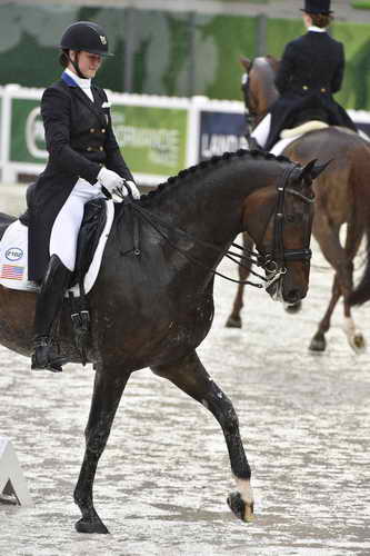 WEG-Dressage-8-25-14-GPTeam-0006101-AdrienneLyle-Wizard-USA-DDeRosaPhoto