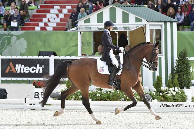 WEG1-Dressage-8-26-14-GPTeam-0007671-LauraGraves-Verdades-USA-DDeRosaPhoto