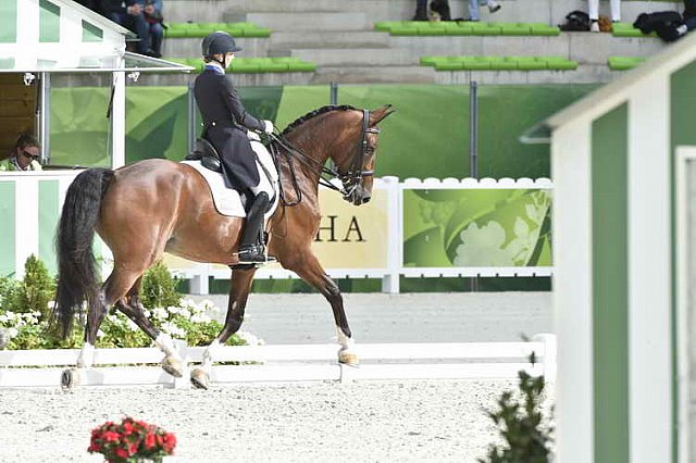 WEG1-Dressage-8-26-14-GPTeam-0007695-LauraGraves-Verdades-USA-DDeRosaPhoto