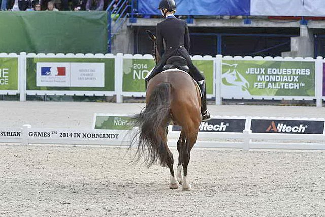 WEG1-Dressage-8-26-14-GPTeam-0007766-LauraGraves-Verdades-USA-DDeRosaPhoto