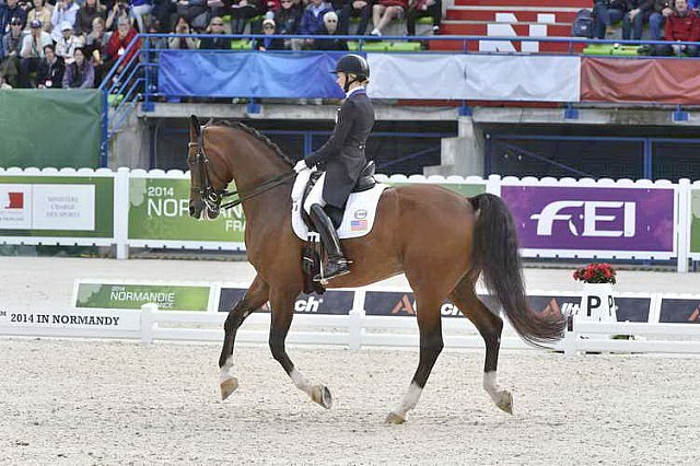 WEG1-Dressage-8-26-14-GPTeam-0007784-LauraGraves-Verdades-USA-DDeRosaPhoto