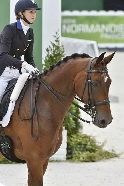 WEG1-Dressage-8-26-14-GPTeam-0007815-LauraGraves-Verdades-USA-DDeRosaPhoto