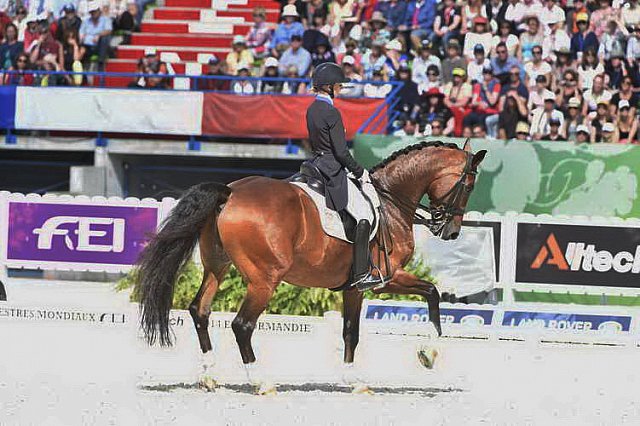 WEG1-Dressage-Freestyle-0006264-LauraGraves-Verdades-USA-DDeRosaPhoto