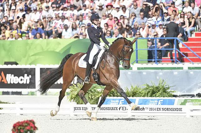 WEG1-Dressage-Freestyle-0006271-LauraGraves-Verdades-USA-DDeRosaPhoto