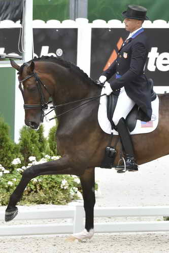 WEG1-Dressage-8-26-14-GPTeam-0009226-SteffenPeters-Legolas92-USA-DDeRosaPhoto-8x12