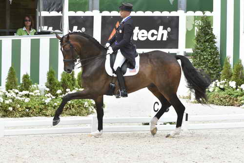 WEG1-Dressage-8-26-14-GPTeam-0009226-SteffenPeters-Legolas92-USA-DDeRosaPhoto-crop