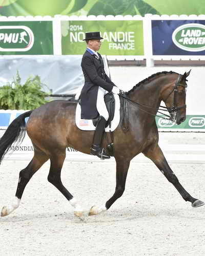 WEG1-Dressage-8-26-14-GPTeam-0009231-SteffenPeters-Legolas92-USA-DDeRosaPhoto-vert