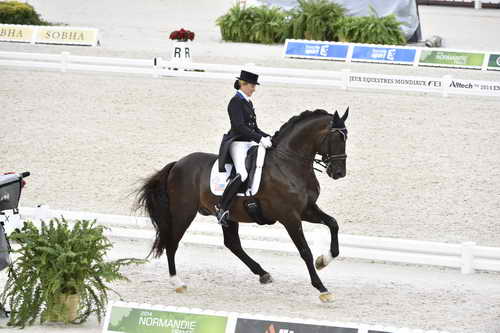 WEG-Dressage-8-25-14-GPTeam-0003869-TinaKonyot-CalectoV-USA-DDeRosaPhoto