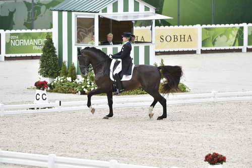 WEG-Dressage-8-25-14-GPTeam-0003877-TinaKonyot-CalectoV-USA-DDeRosaPhoto