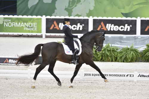 WEG-Dressage-8-25-14-GPTeam-0003887-TinaKonyot-CalectoV-USA-DDeRosaPhoto