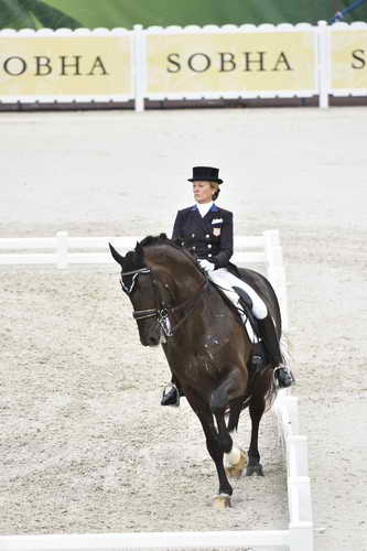 WEG-Dressage-8-25-14-GPTeam-0003891-TinaKonyot-CalectoV-USA-DDeRosaPhoto