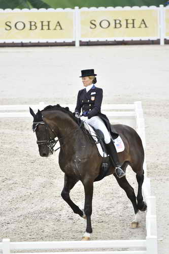 WEG-Dressage-8-25-14-GPTeam-0003892-TinaKonyot-CalectoV-USA-DDeRosaPhoto