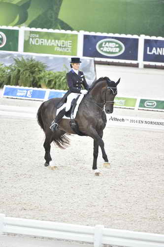 WEG-Dressage-8-25-14-GPTeam-0003959-TinaKonyot-CalectoV-USA-DDeRosaPhoto