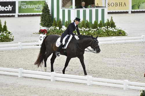 WEG-Dressage-8-25-14-GPTeam-0004005-TinaKonyot-CalectoV-USA-DDeRosaPhoto