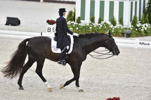 WEG-Dressage-8-25-14-GPTeam-0004009-TinaKonyot-CalectoV-USA-DDeRosaPhoto