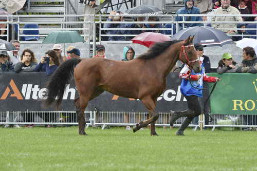 WEG1-EnduranceJog-8-27-14-0000543-DDeRosaPhoto