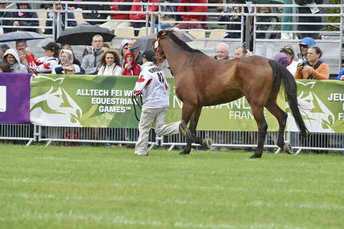 WEG1-EnduranceJog-8-27-14-0000557-DDeRosaPhoto