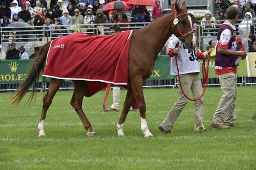 WEG1-EnduranceJog-8-27-14-0000570-DDeRosaPhoto