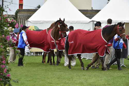 WEG1-EnduranceJog-8-27-14-0000582-DDeRosaPhoto