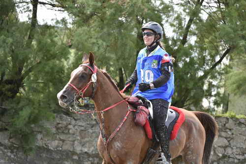 WEG-EnduranceRace-8-28-14-0002891-DDeRosaPhoto