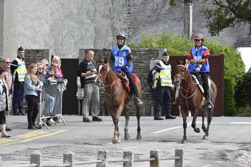 WEG-EnduranceRace-8-28-14-0002921-DDeRosaPhoto