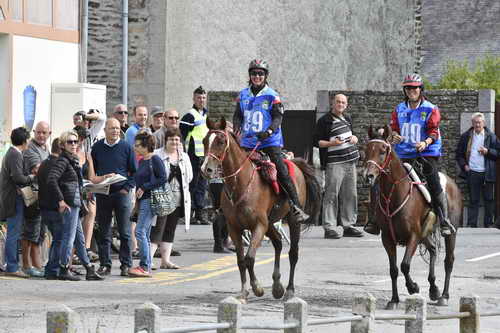 WEG-EnduranceRace-8-28-14-0002926-DDeRosaPhoto