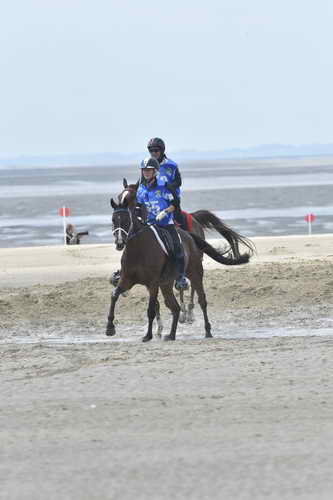 WEG-EnduranceRace-8-28-14-0004242-DDeRosaPhoto