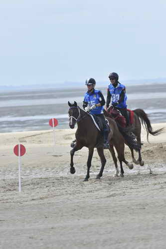WEG-EnduranceRace-8-28-14-0004244-DDeRosaPhoto