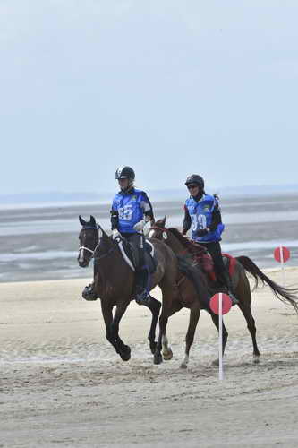 WEG-EnduranceRace-8-28-14-0004247-DDeRosaPhoto
