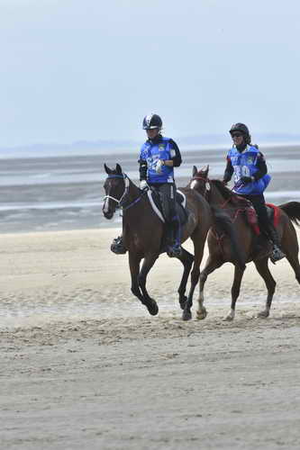 WEG-EnduranceRace-8-28-14-0004248-DDeRosaPhoto