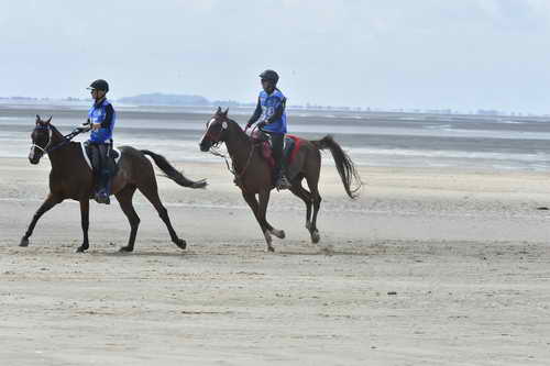 WEG-EnduranceRace-8-28-14-0004259-DDeRosaPhoto