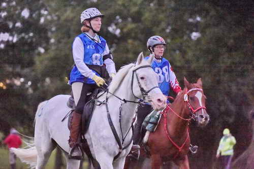 WEG-EnduranceRace-8-28-14-0000891-DDeRosaPhoto