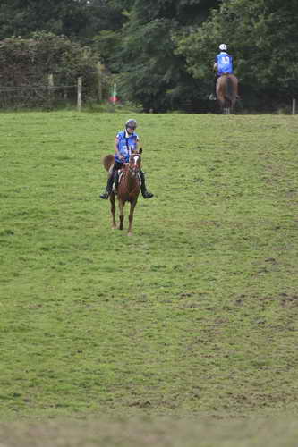 WEG-EnduranceRace-8-28-14-0005038-DDeRosaPhoto