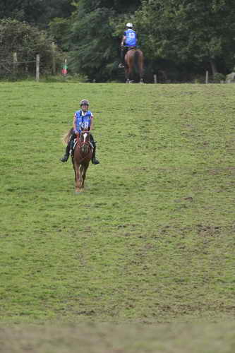 WEG-EnduranceRace-8-28-14-0005040-DDeRosaPhoto