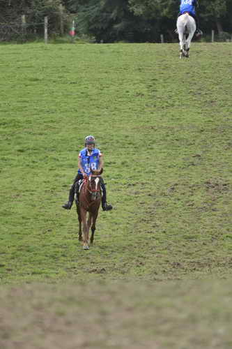 WEG-EnduranceRace-8-28-14-0005052-DDeRosaPhoto