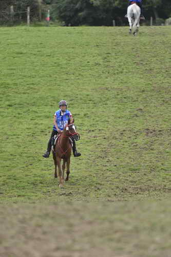 WEG-EnduranceRace-8-28-14-0005055-DDeRosaPhoto