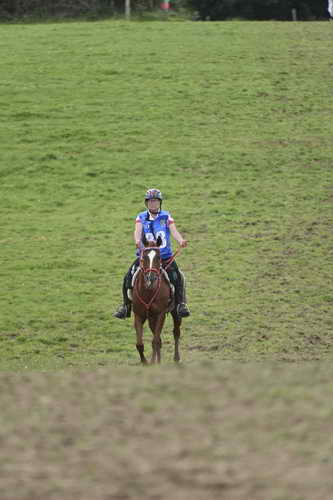 WEG-EnduranceRace-8-28-14-0005060-DDeRosaPhoto