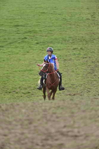 WEG-EnduranceRace-8-28-14-0005065-DDeRosaPhoto