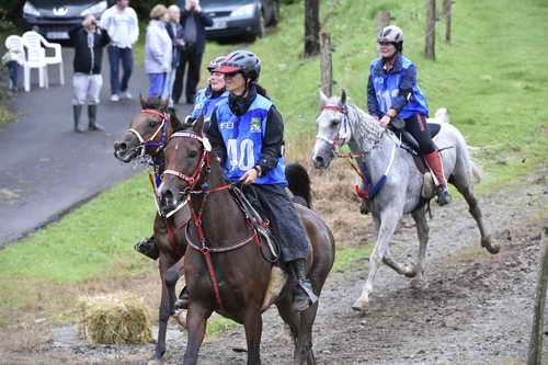 WEG-EnduranceRace-8-28-14-0001277-DDeRosaPhoto