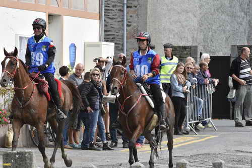 WEG-EnduranceRace-8-28-14-0002931-DDeRosaPhoto