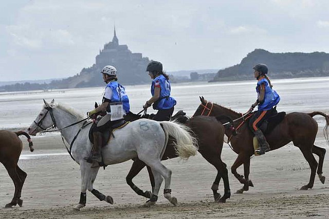 WEG-EnduranceRace-8-28-14-0004617-DDeRosaPhoto