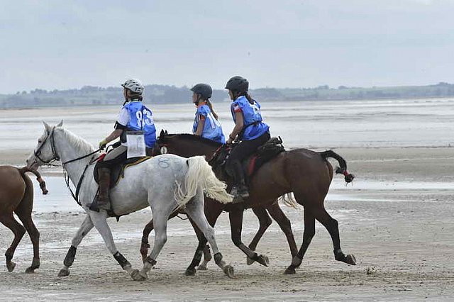 WEG-EnduranceRace-8-28-14-0004629-DDeRosaPhoto