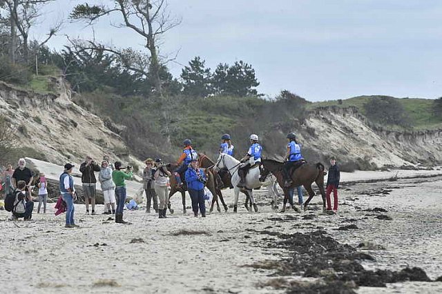 WEG-EnduranceRace-8-28-14-0004682-DDeRosaPhoto