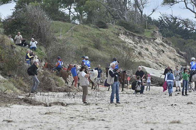 WEG-EnduranceRace-8-28-14-0004700-DDeRosaPhoto