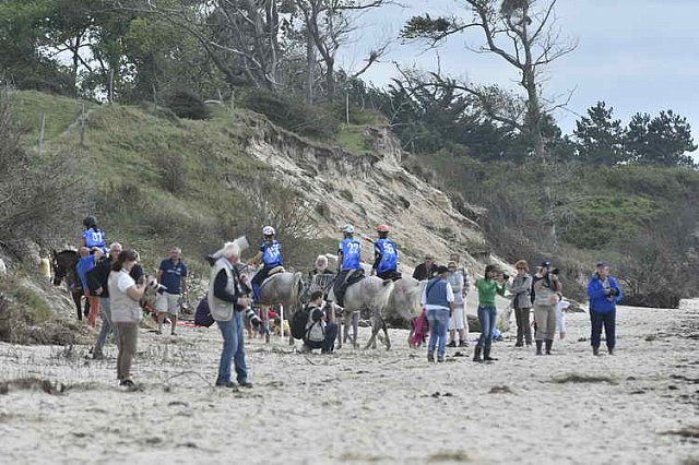 WEG-EnduranceRace-8-28-14-0004704-DDeRosaPhoto