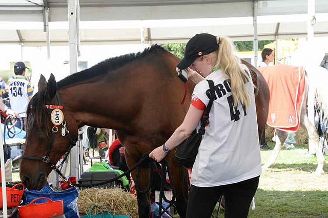 WEG2-Endurance-8-28-14-6531-DDeRosaPhoto