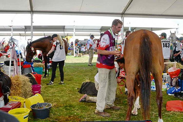 WEG2-Endurance-8-28-14-6534-DDeRosaPhoto